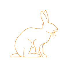 Animals Lagomorphs Line Art Svg Vector, Free Vectors File